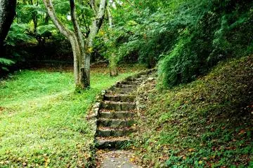 <p>Path leading up to the main road</p>