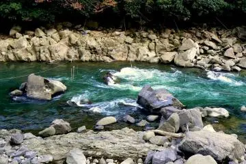 <p>Some kind of course was marked out by ropes hanging over the river</p>