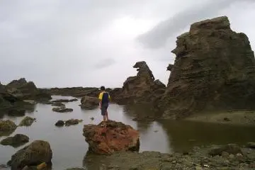 哥斯拉和男鹿半岛