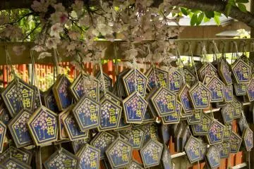 Votive tablets from people hoping for luck and happiness.