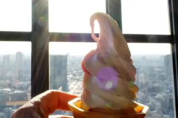 It is a very cool experience to eat the dessert while looking down at the city and actually have some time to relax from the hustle and bustle of the city.&nbsp;