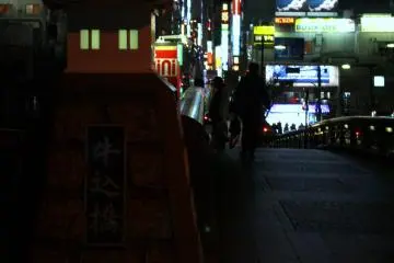 <p>Now you have my blessing, and you can finally begin exploring the streets of Kagurazaka.</p>