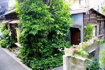 <p>And here we have the building next door...the harmony of it all!</p>