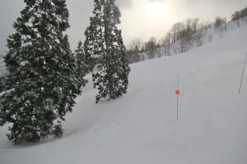 <p>All this powder</p>