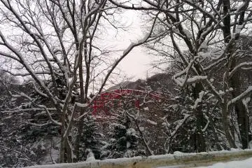 <p>Jembatan besi merah di Gunma</p>