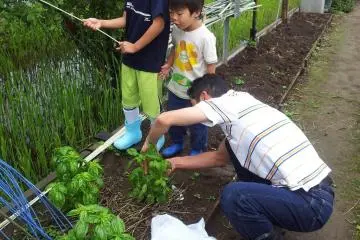 Growing up with green thumbs (Photo: KWH)