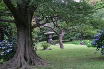 A quiet corner of the garden.