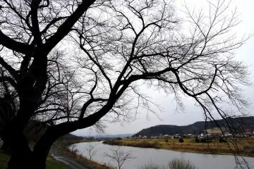 겨울에는 풍경 전체가 슬퍼 보인다