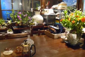 <p>The cafe is half-filled with plants</p>