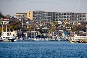 <p>A view of personal sailboats floating in the Port of Yokosuka</p>