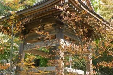 <p>There is a huge bell in there. In spring this would be beautiful!</p>
