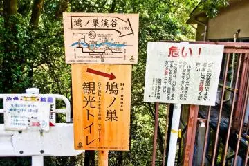 <p>Follow the signs downwards</p>