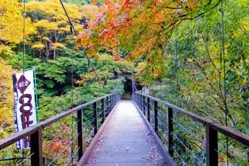 <p>As you cross Hatonosu Bridge the real fun begins!</p>
