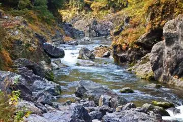 <p>This mighty river runs all the way from Okutama into downtown Tokyo before eventually filtering out into the sea</p>