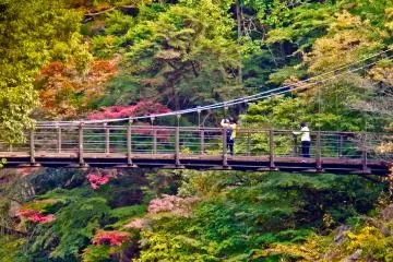 <p>One last look back at Hatonosu Bridge with several people admiring the autumn foliage&nbsp;</p>