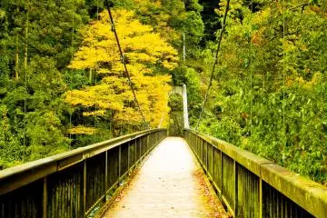<p>Near the Northern end of Kazuma&nbsp;Gorge, close to Okutama&nbsp;Station is the impressive&nbsp;Moueki Bridge&nbsp;</p>