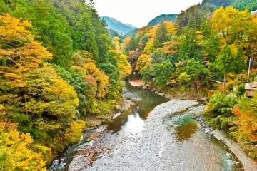 <p>Glancing in the opposite direction of the river from the top of&nbsp;Moueki Bridge</p>
