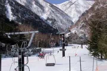 <p>Skiing and snowboarding</p>