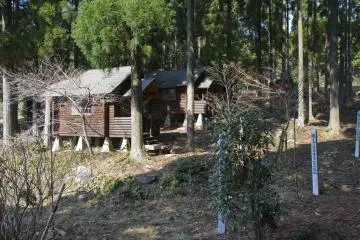 <p>A small stream flows through the middle of the campground</p>