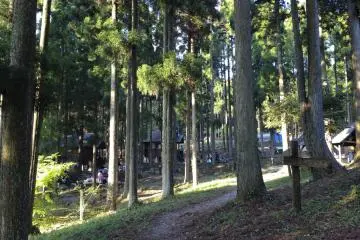 <p>The trees keep the camp cool in summer</p>