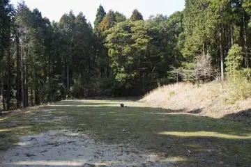 <p>An open space near the tent area</p>