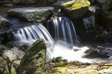 <p>A stream flows across the road from the campground</p>