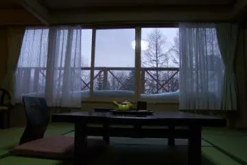 <p>Stay at a traditional Japanese ryokan or hotel</p>