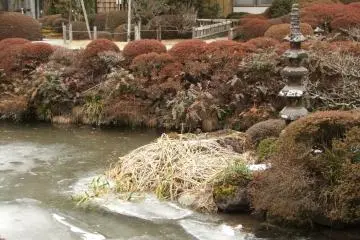 <p>Icy view of Shoyoen Garden, part of the Rinno-ji temple complex in Nikko</p>