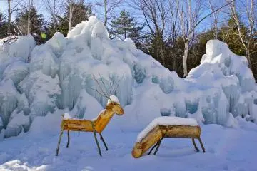 <p>Reindeer games at the Ice Tree Festival</p>