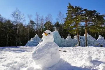 <p>Build your own Frosty the Snowman</p>