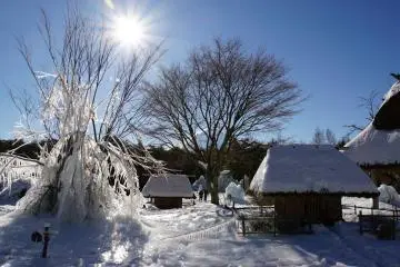 <p>Beautiful winter wonderland at Yachonomori Park</p>