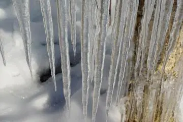 <p>Icicle pops!</p>
