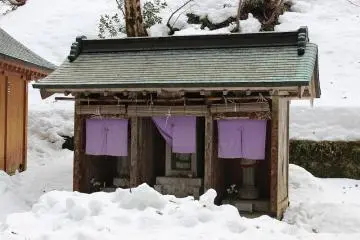 산지조존당
