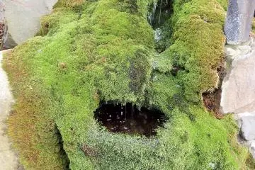 <p>Take a sip of water&nbsp;at one of the lovely natural spring fountains along the street.</p>