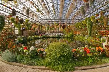 <p>The vivid flowers that make up this 8,000sq meter Greenhouse is just gorgeous</p>