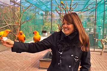 <p>Up close and personal with the birds in the&nbsp;Lorikeet Landing Cage. 100yen.</p>