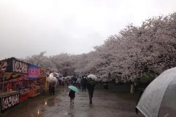 100여개의 노점에서 음식을 사고, 먹으면서 산책하는 것도 좋다
