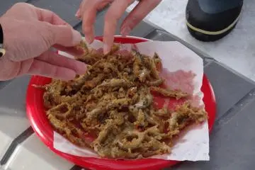 The fried fish