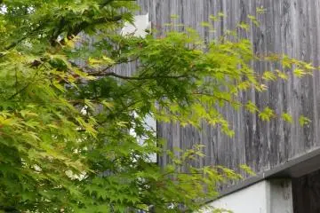 A side view of the bungalow.
