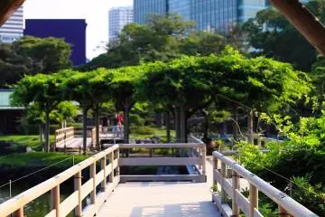 Le Jardin Hama-rikyu