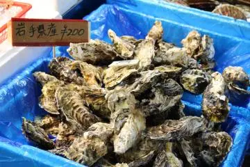 Iwate oysters