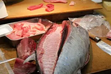 Preparation of tuna