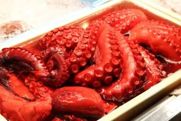Octopus