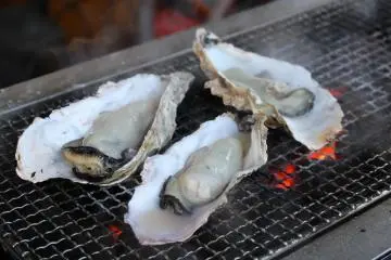 Grilling oysters outside Shiogama Fish Market