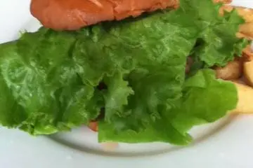Hungry Boy Navy Burger