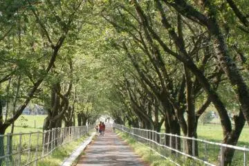 The long path leading up to the barns