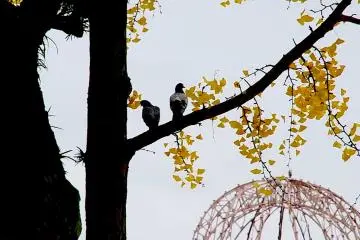 A Cúpula da Bomba Atómica