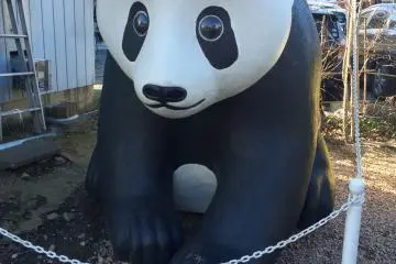 A panda in front of a bakery. Makio Yajima is an artist who specializes in styrofoam art. Her work can be found all around Penny Candy Alley. Try to spot them as you walk around!