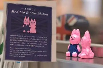 <p>Cute&nbsp;mascots of "Malins" - Mr.Chip and Mrs.Malins</p>