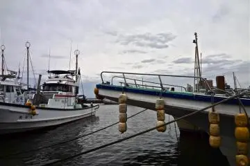 Fishing boats docked in the port.